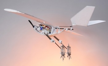 Drone Leverages Bird-Like Design for Versatile Flight