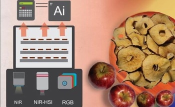 AI and Optical Sensors Revolutionize Food Preservation