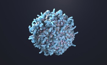 New Tool Predicts T Cell Epitopes with Unprecedented Accuracy