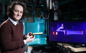 Flexible Wings Inspired by Bats Could Improve Drones and Renewable Energy Systems