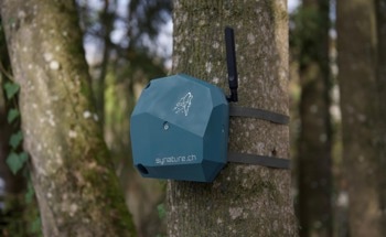 Revolutionizing Wildlife Monitoring with AI-Driven Sound Analysis