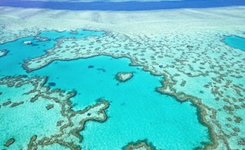 Australian Researchers Use AI and ML to Create a Real-Time Monitoring System to Protect Coral Reefs