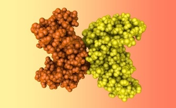 Utilizing Machine Learning to Enhance Prediction Accuracy of Kinase Interactions