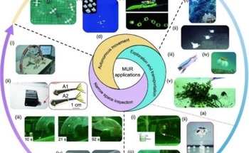 Enhancing Efficiency and Maneuverability in Underwater Robotics