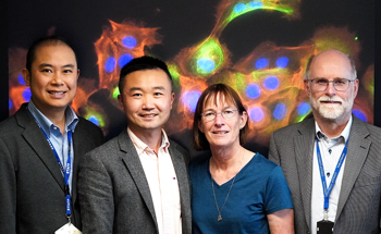 Innovative Technique Enables Early Detection of Oral Cancer