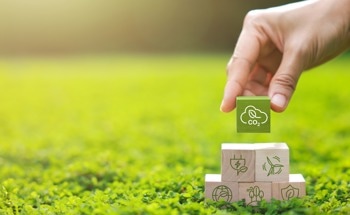 AI Meets Ecology: Cambridge Projects Target Climate, Conservation, and Urban Efficiency