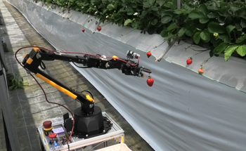 Smarter Farming: Autonomous Robots for Precision Cultivation