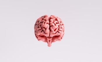 How 75,000 Neurons Helped Build the Most Detailed Brain Map Yet to Inspire Next-Gen AI Models