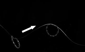 New Soft Ring Robot Crawls Through Complex Terrain Using Only Infrared Light