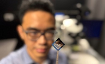 Neuromorphic Vision Device Mimics Human Eye and Brain for Instant Processing