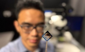 Tiny Device Promises New Tech with a Human Touch