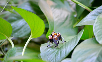Tiny Robot Duo Could Change the Way We Inspect Complex Machinery