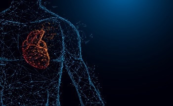 AI Tool Unlocks Hidden Heart Attack Risks in Routine Chest CT Scans