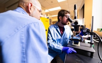 Nebraska Researchers Develop Synthetic Skins Inspired by Cephalopods for Next-Gen Soft Machines