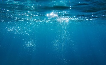 Researchers Develop Soft Amphibious Robot with Electrohydraulic Flippers