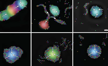Researchers Use Sound to Coordinate Intelligent Microrobot Swarms