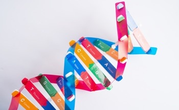 Caltech Scientists Power Reusable DNA Circuits With Heat to Enable Scalable Molecular Computing