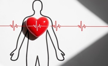 AI Can Now Reveal Your “Real” Heart Age to Warn You of a Heart Attack Years Before it Happens