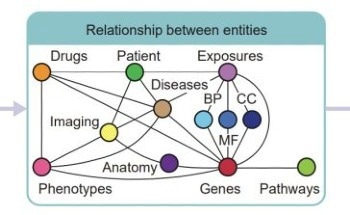 AI Can Design Heart Disease Treatments Using Imaging and Biological Data