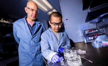 Hydrogel-Based Systems Mimicking Biological Energy Conversion