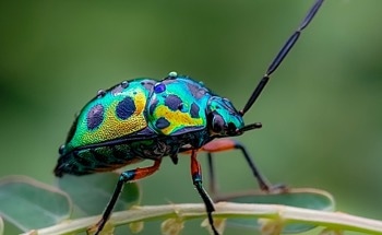 This Artificial Eye Could Give Drones Superhuman Awareness