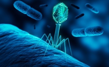 Generative AI Designs Bacteriophages to Overcome E. coli Resistance