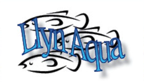 Llyn Aquaculture logo.