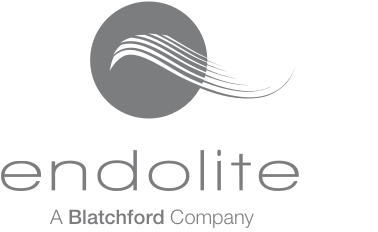 Endolite India Limited logo.