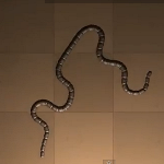 V-REP Simulation of Worm-like Robot